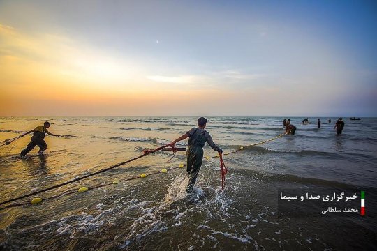 تصاویر/ فصل صید ماهی در مازندران