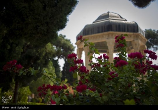 گلباران آرامگاه حافظ شیرازی 